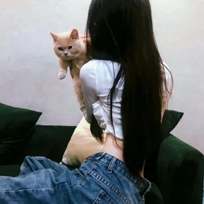 敌对同谋