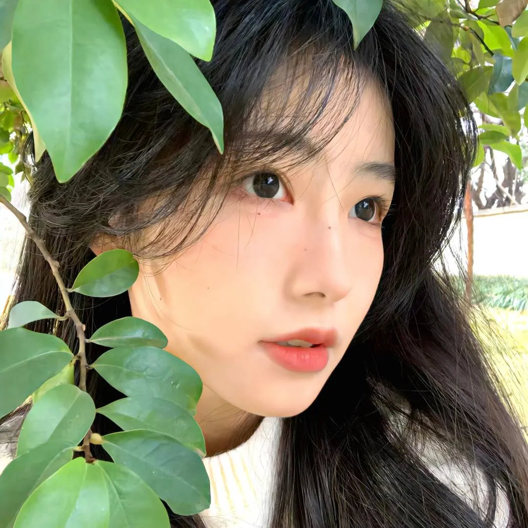 学堂霸王花